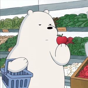 Meet your Posher, Ariel